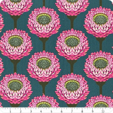 AMT Strawflower - Bursting